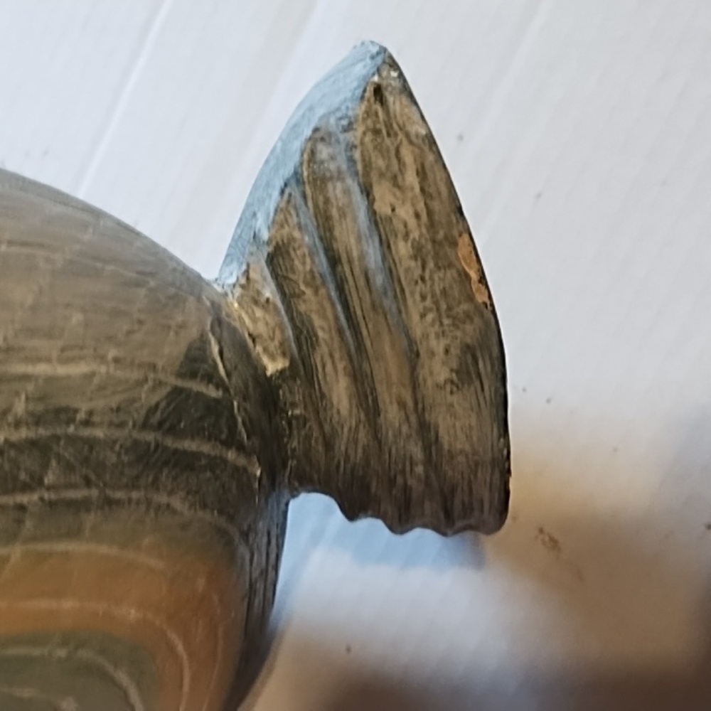 Decorative Pastel Shell - Picture 10 of 10